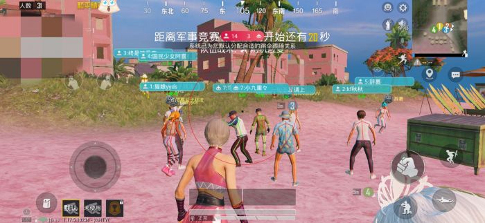 和平精英辅助器多少元一个（和平精英辅助器多少元）